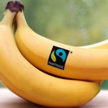 Fairtrade bananas